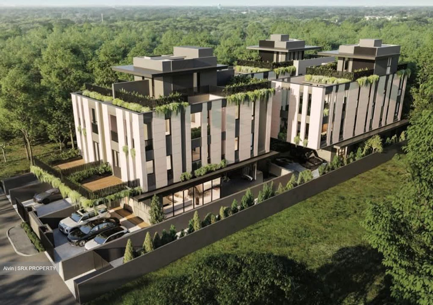 Palm Road (D15), Terrace #556154601